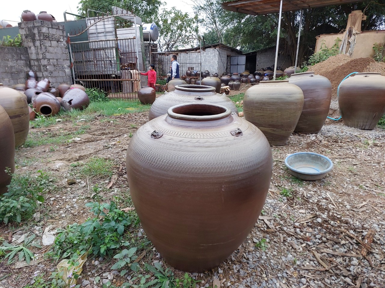 Chum sành ngâm rượu 200l không tráng men