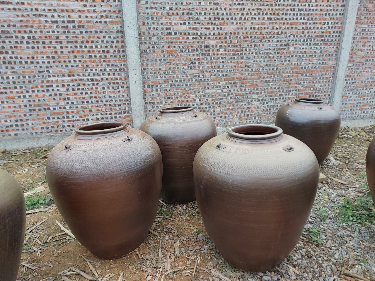 Chum sành ngâm rượu hạ thổ 200l