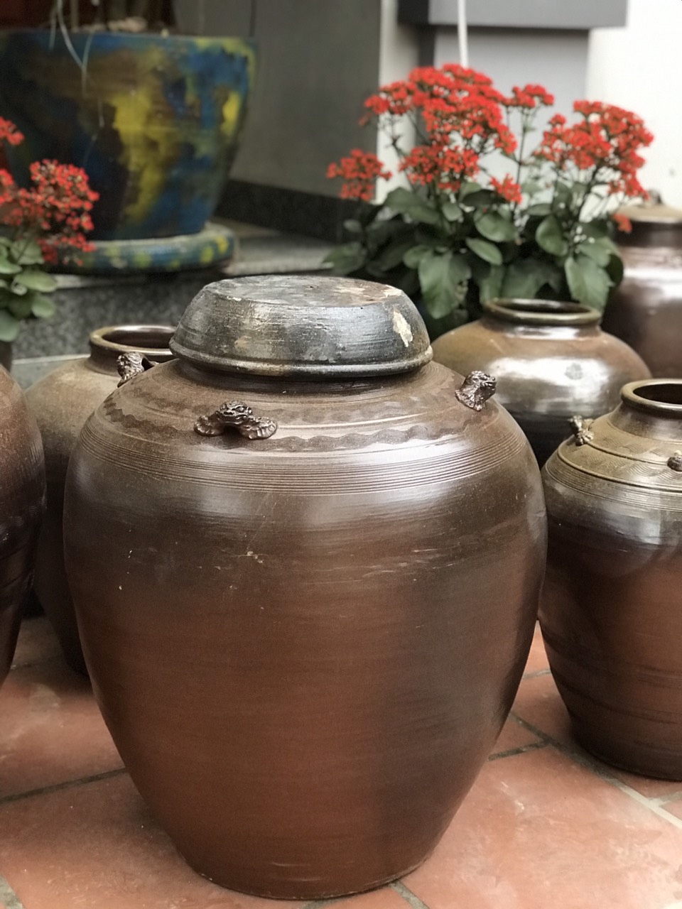 chum sành giả cổ 100 lít