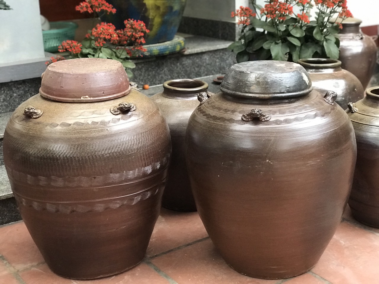 chum sanh 100 lít