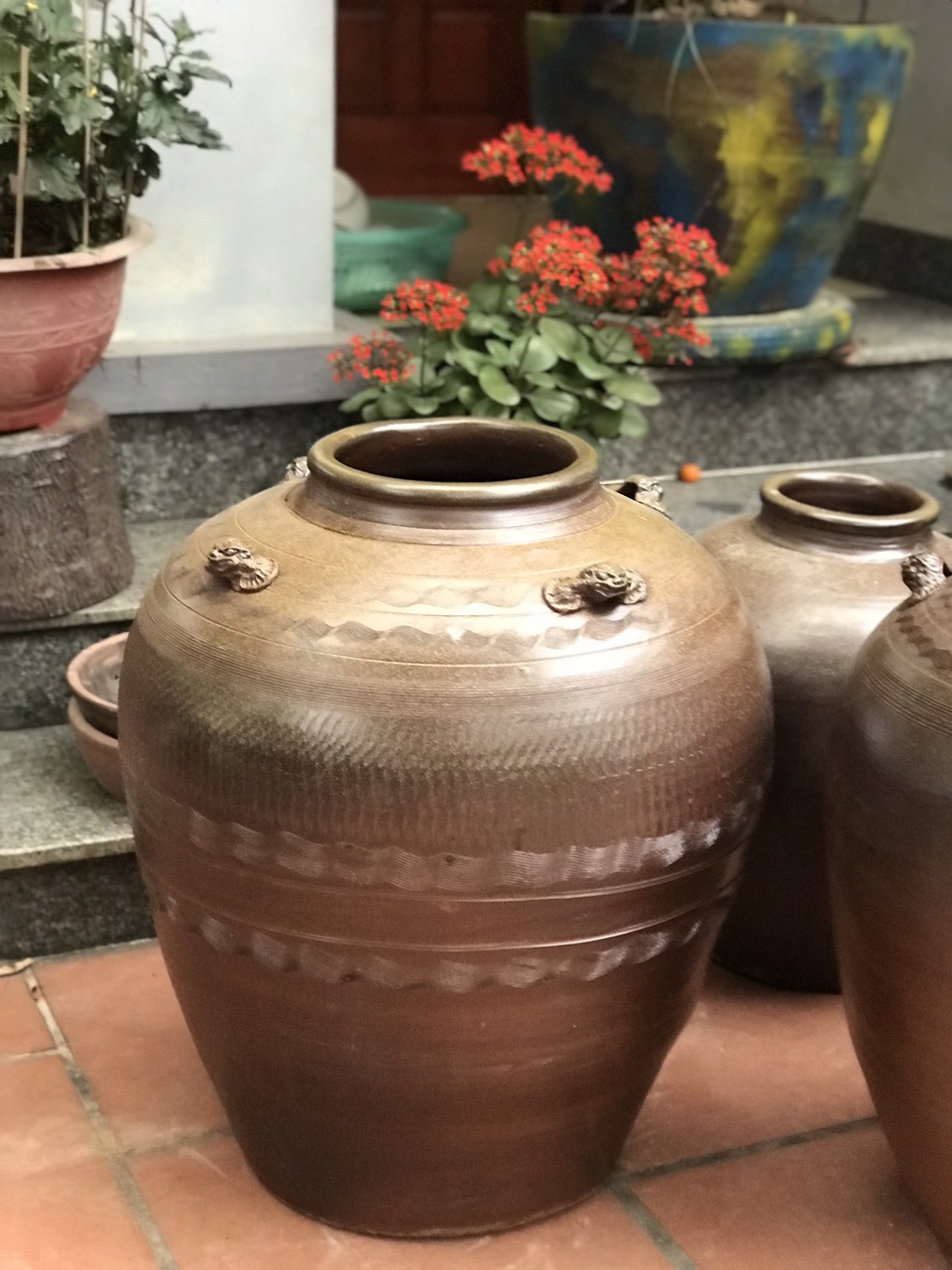 chum sành ngâm rượu 100l